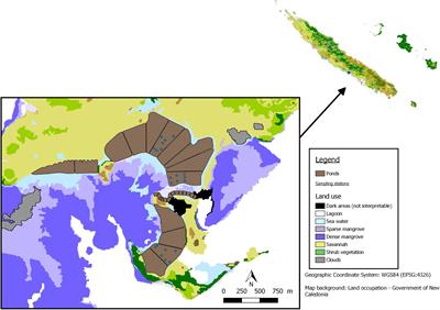 Diagenetic Processes in Aquaculture Ponds Showing Metal Accumulation on Shrimp Gills